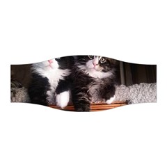 Cats Brothers Stretchable Headband by Sparkle