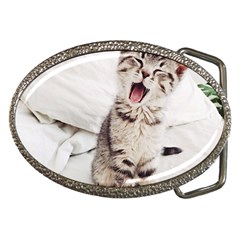 Laughing Kitten Belt Buckles by Sparkle