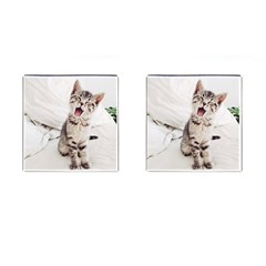 Laughing Kitten Cufflinks (square) by Sparkle