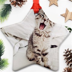 Laughing Kitten Star Ornament (two Sides) by Sparkle