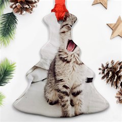 Laughing Kitten Ornament (christmas Tree)  by Sparkle