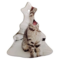 Laughing Kitten Christmas Tree Ornament (two Sides) by Sparkle