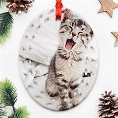 Laughing Kitten Ornament (oval Filigree) by Sparkle