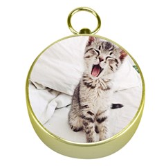 Laughing Kitten Gold Compasses by Sparkle