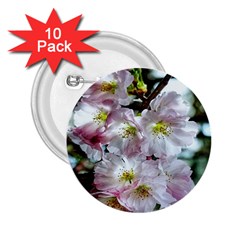 Pinkfloral 2 25  Buttons (10 Pack)  by Sparkle