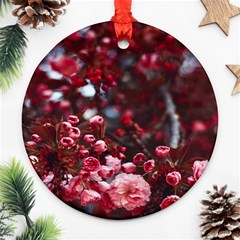 Red Floral Ornament (round) by Sparkle