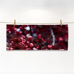 Red Floral Hand Towel by Sparkle