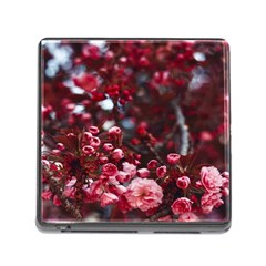 Red Floral Memory Card Reader (square 5 Slot) by Sparkle