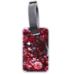 Red Floral Luggage Tag (two Sides) by Sparkle