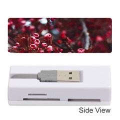 Red Floral Memory Card Reader (stick) by Sparkle