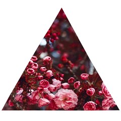 Red Floral Wooden Puzzle Triangle by Sparkle