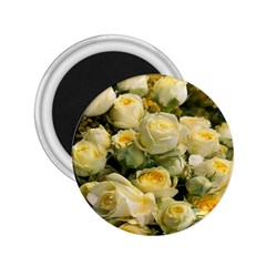 Yellow Roses 2 25  Magnets by Sparkle