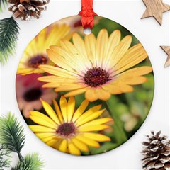 Yellow Flowers Ornament (round) by Sparkle