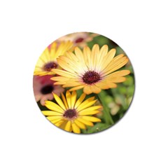 Yellow Flowers Magnet 3  (round) by Sparkle