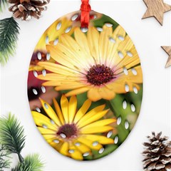 Yellow Flowers Ornament (oval Filigree) by Sparkle