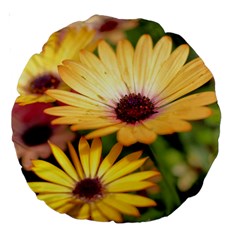 Yellow Flowers Large 18  Premium Round Cushions