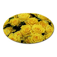 Yellow Roses Oval Magnet by Sparkle