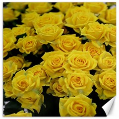 Yellow Roses Canvas 12  X 12  by Sparkle