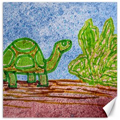 Turtle And Letttuce Colored Illustration Canvas 16  X 16  by dflcprintsclothing