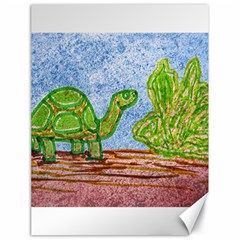 Turtle And Letttuce Colored Illustration Canvas 18  X 24  by dflcprintsclothing