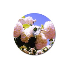 Pink Snowball Branch Magnet 3  (round) by okhismakingart