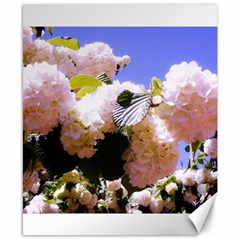 Pink Snowball Branch Canvas 8  X 10  by okhismakingart