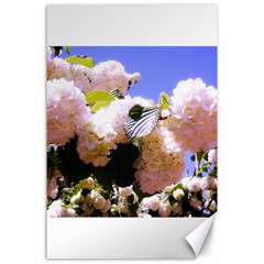 Pink Snowball Branch Canvas 24  X 36  by okhismakingart