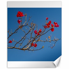 Santa Rita Flower Photo001 Canvas 16  X 20  by dflcprintsclothing