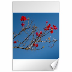 Santa Rita Flower Photo001 Canvas 24  X 36  by dflcprintsclothing