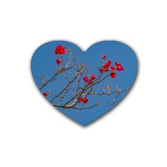 Santa Rita Flower Photo001 Rubber Coaster (heart)  by dflcprintsclothing