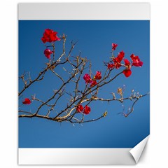 Santa Rita Flower Photo001 Canvas 11  X 14  by dflcprintsclothing