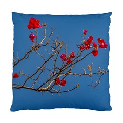 Santa Rita Flower Photo001 Standard Cushion Case (one Side) by dflcprintsclothing