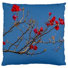 Santa Rita Flower Photo001 Large Cushion Case (one Side) by dflcprintsclothing