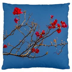 Santa Rita Flower Photo001 Standard Flano Cushion Case (one Side) by dflcprintsclothing