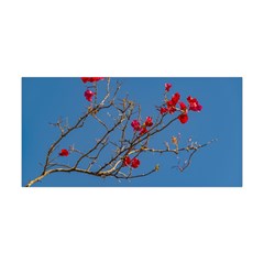 Santa Rita Flower Photo001 Yoga Headband by dflcprintsclothing