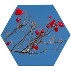 Santa Rita Flower Photo001 Wooden Puzzle Hexagon by dflcprintsclothing