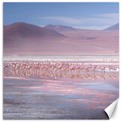 Bolivia-gettyimages-613059692 Canvas 20  X 20 