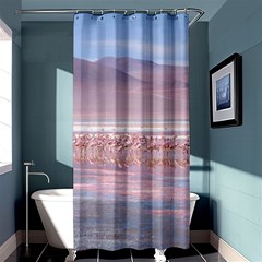 Bolivia-gettyimages-613059692 Shower Curtain 36  X 72  (stall)  by Trendshop