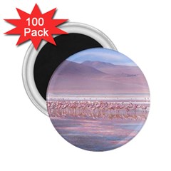 Bolivia-gettyimages-613059692 2 25  Magnets (100 Pack)  by Trendshop