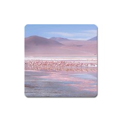 Bolivia-gettyimages-613059692 Square Magnet by Trendshop