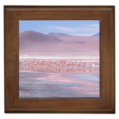 Bolivia-gettyimages-613059692 Framed Tile by Trendshop