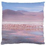 Bolivia-gettyimages-613059692 Large Flano Cushion Case (Two Sides) Front