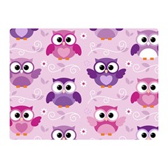 Seamless Cute Colourfull Owl Kids Pattern Double Sided Flano Blanket (mini)  by Amaryn4rt