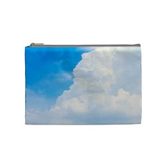 Sky Cosmetic Bag (medium)