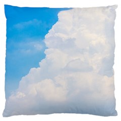 Sky Large Cushion Case (two Sides)