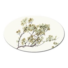 Photo Illustration Flower Over White Background Oval Magnet