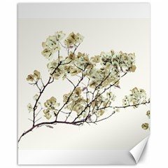 Photo Illustration Flower Over White Background Canvas 16  X 20 