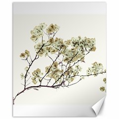 Photo Illustration Flower Over White Background Canvas 11  X 14  by dflcprintsclothing