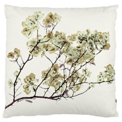 Photo Illustration Flower Over White Background Large Cushion Case (one Side) by dflcprintsclothing