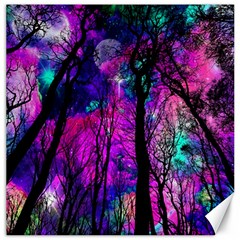 Fairytale Forest Canvas 20  X 20  by augustinet